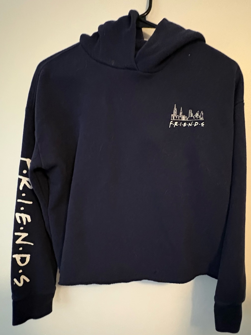FRIENDS Navy Logo Trendy Cropped Hoodie